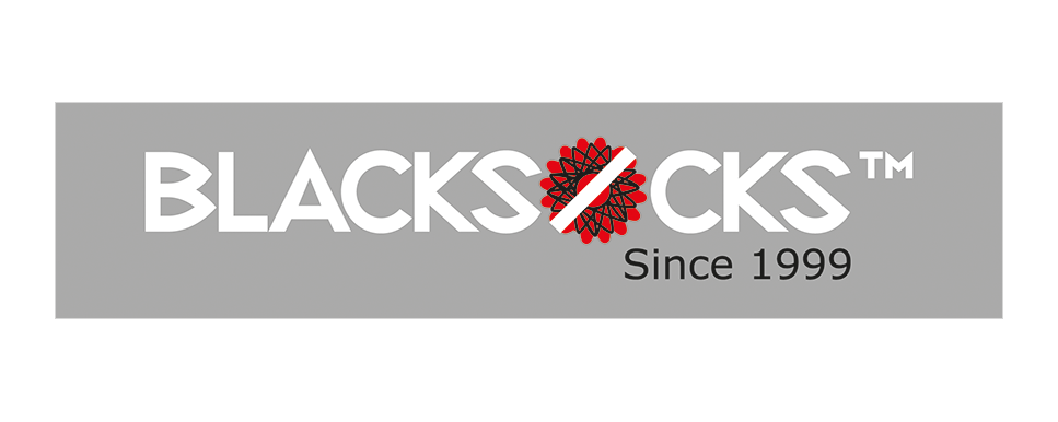 Viseca_Blacksocks-Logo
